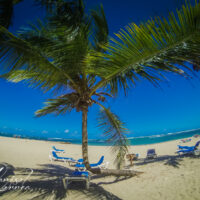Playa Dorada, Dominican Republic pt 1