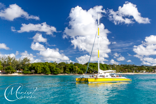Catamaran, Barbados