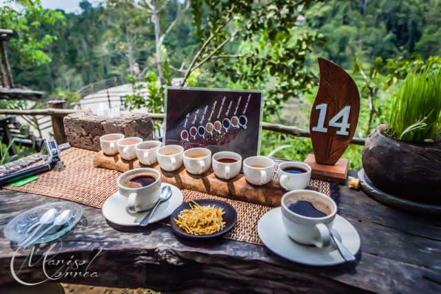 Bali Pulina Coffee And Spice Plantation