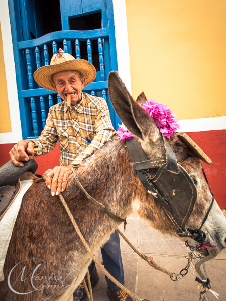 Old man and his donkey